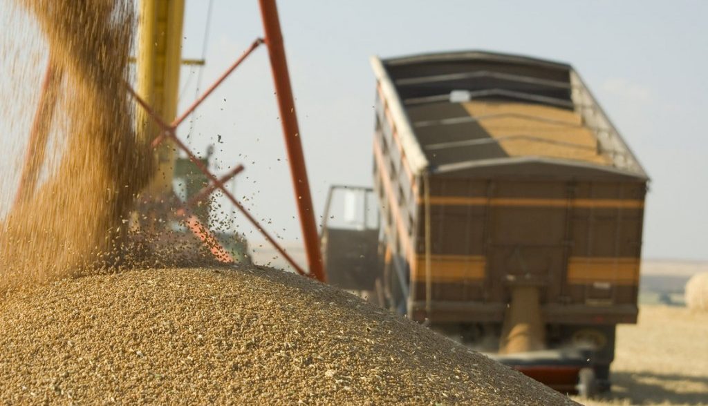 Expert în comerțul cu cereale: „Ne așteptăm la ce este mai rău dacă celelalte țări își mențin restricțiile pentru cerealele ucrainene și România nu face nimic”