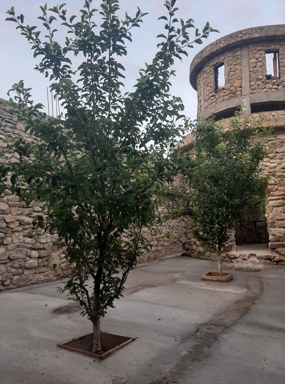 meri in biserica plus cladire