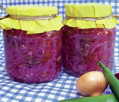 SALATĂ DE ARDEI IUTE CU CEAPĂ, PERFECTĂ PENTRU SEZONUL RECE