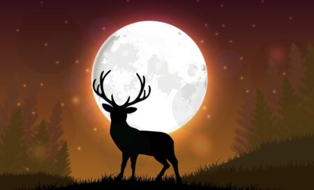 SuperLuna plină a cerbului – 3 iulie 2023. Ce aduce zodiilor cea mai strălucitoare Lună plină din 2023