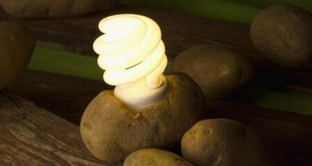 Un cartof îti poate lumina camera timp de o lună! Descoperirea incredibilă a unui om de știință din Israel
