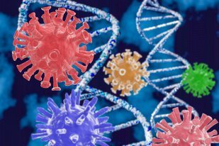 OMS: Virusul care cauzează COVID-19 este încă vivace