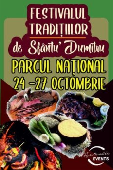 Comunicat de presă: Festivalul Tradiţiilor de Sfântul Dumitru