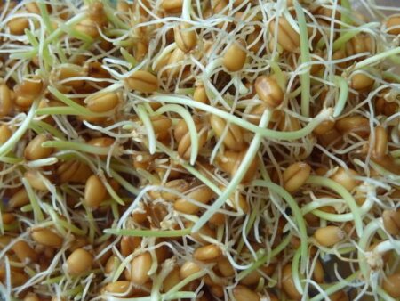 Un amestec din 2 ingrediente calmează hemoroizii în mod natural!