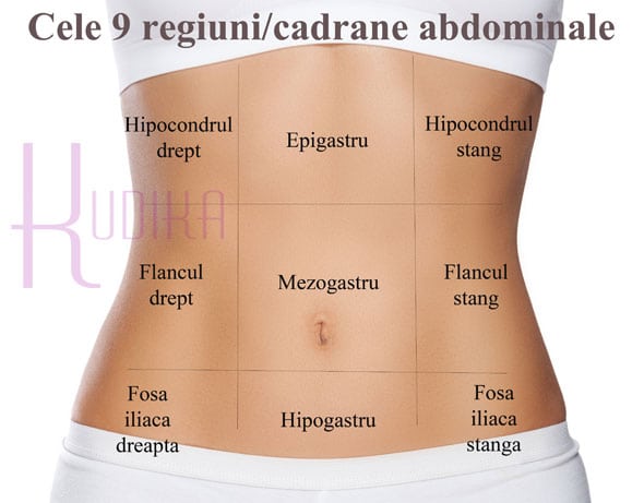 harta abdomenului 1