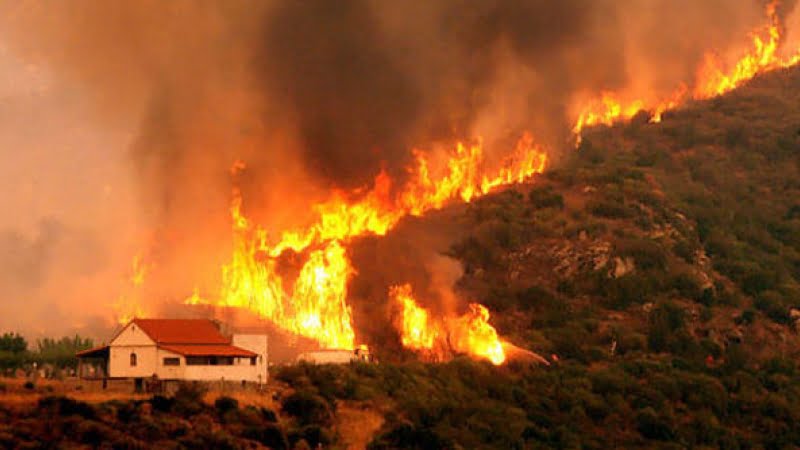 incendii grecia 2