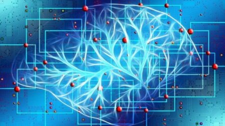 Premieră epocală în medicină: Au fost creați neuronii artificiali care pot repara circuitele nervoase din creier