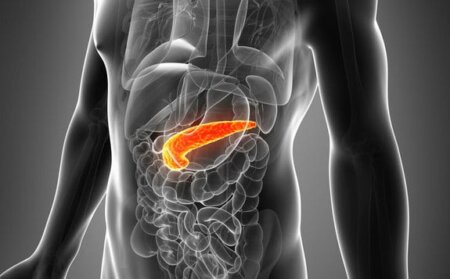 Iată un tratament de regenerare a pancreasului.  Cum prevenim diabetul printr-o metoda naturală, simplă și eficientă!