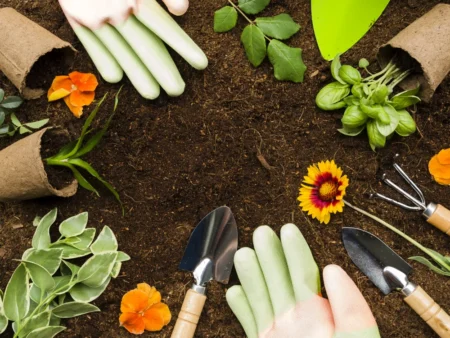 Planta din grădină care îți aduce o amendă uriașă! Mulți români care stau la curte riscă să plătească 5.000 de lei
