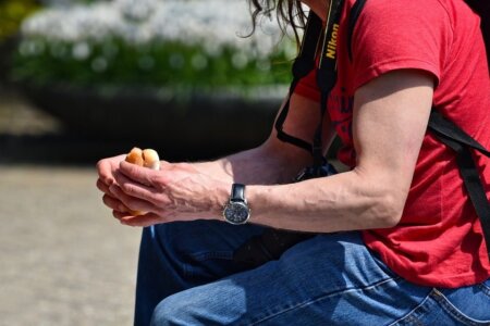 poza ampress.ro japora 1