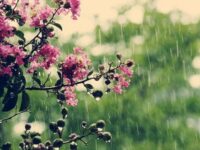 România, sub semnul instabilității meteo pe 21 mai: ploi la mare și în regiunile estice, vreme mai blândă în vest