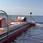 Vergara01