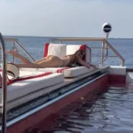 Vergara02