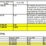 fiscal 6