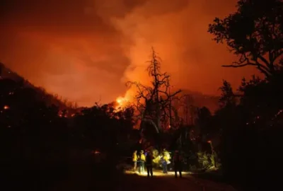 VIDEO – Alertă în California! Incendiul uriaș a distrus milioane în podgorii și amenință industria vinului!