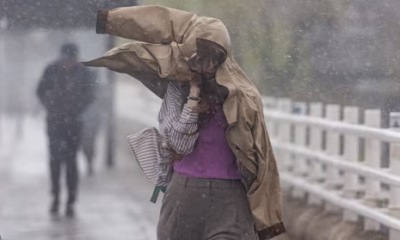 ALERTĂ METEO peste România! Cod Galben de Vânt Puternic în Mare Parte din Țară 2 vant