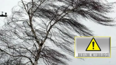 cod galben de vant 1