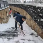 gabriel plesa lopata