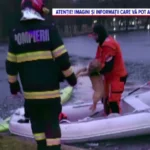 screenshot 2026 01 31 082239