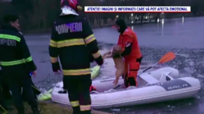 screenshot 2026 01 31 082239