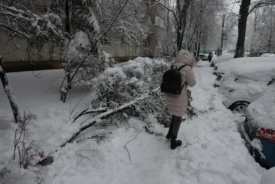 O adolescentă a fost electrocutată în București, după ce un copac a căzut peste cablurile electrice