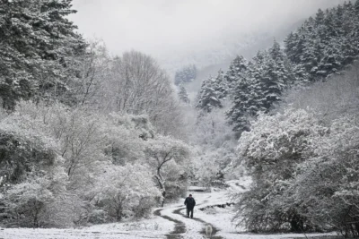 Ce au descoperit anchetatorii în cabana de lângă Pasul Petrohan după crimele care au pus pe jar poliția bulgară
