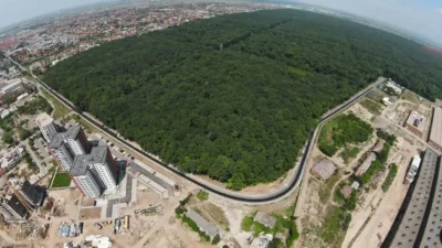Schimbare majoră pentru Pădurea Verde: Ce au decis Primăria Timișoara și Romsilva pentru viitoarea „pădure- parc”