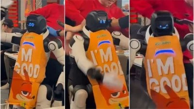 Ce s-a întâmplat într-un restaurant din California după ce un robot a avut „o cădere nervoasă”