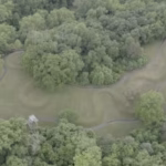 Ce ascundeau stâncile de pe malul fluviului Orinoco: un șarpe de peste 40 de metri vizibil doar din cer