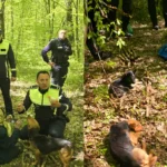 Final fericit după două zile de căutări: bătrâna de 94 de ani, găsită de polițiști