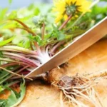 Planta banală care a uimit cercetătorii: „un procent ridicat de celule canceroase a fost afectat într-un interval de 24 până la 48 de ore”