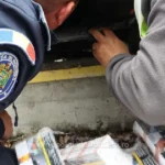 A vrut sa introducă ilegal țigări în România, dar planul i-a fost dat peste cap de Politia de Frontiera