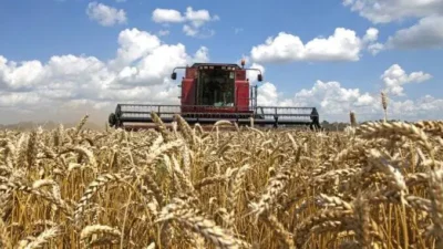 Câmpurile României, afectate de vremea extrema. Fermierii se tem de pierderi uriașe