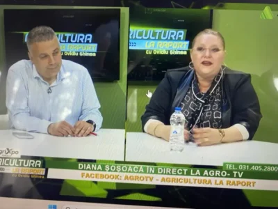 Diana Iovanovici-Șoșoacă dezvăluie de ce nu protestează fermierii români: „Din cauza amenințărilor politice. În România există amenințare politică”