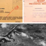 Dosarele OZN ascunse zeci de ani au fost desecretizate. Ce au văzut piloții americani deasupra Germaniei naziste în 1945