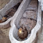 Descoperire incredibila în Egipt: O mumie veche de 1.600 de ani avea atașat pe abdomen un pasaj din Iliada