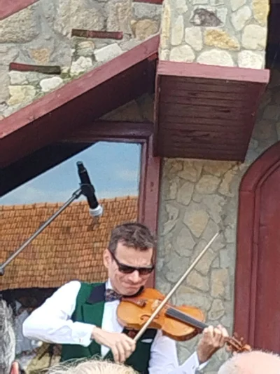 alexandru t